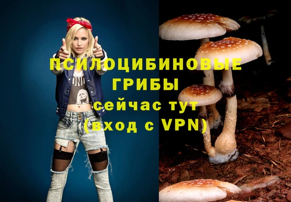 спайс Магадан
