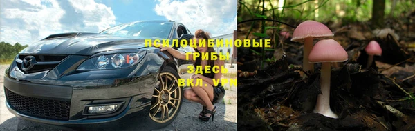 спайс Магадан