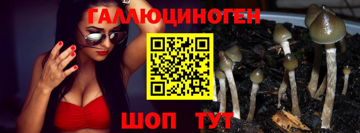 Тихорецк  Псилоцибиновые грибы Magic Shrooms  Вход с VPN 